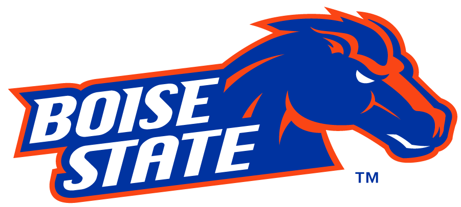 Boise State Broncos 2012-2013 Secondary Logo iron on transfers for T-shirts